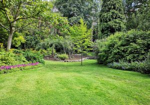 Optimiser l'expérience du jardin à Laval-sur-Doulon